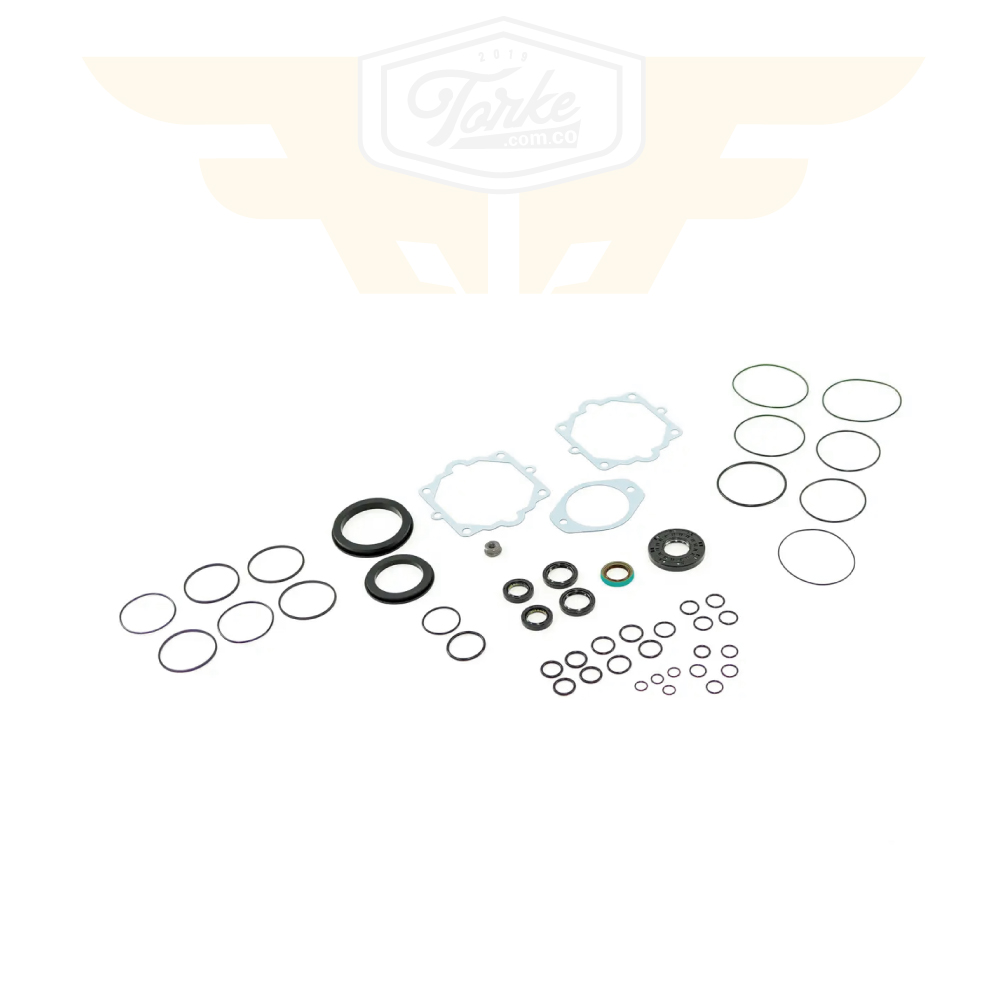 6671516 SEAL KIT HYDROSTATIC PUMP